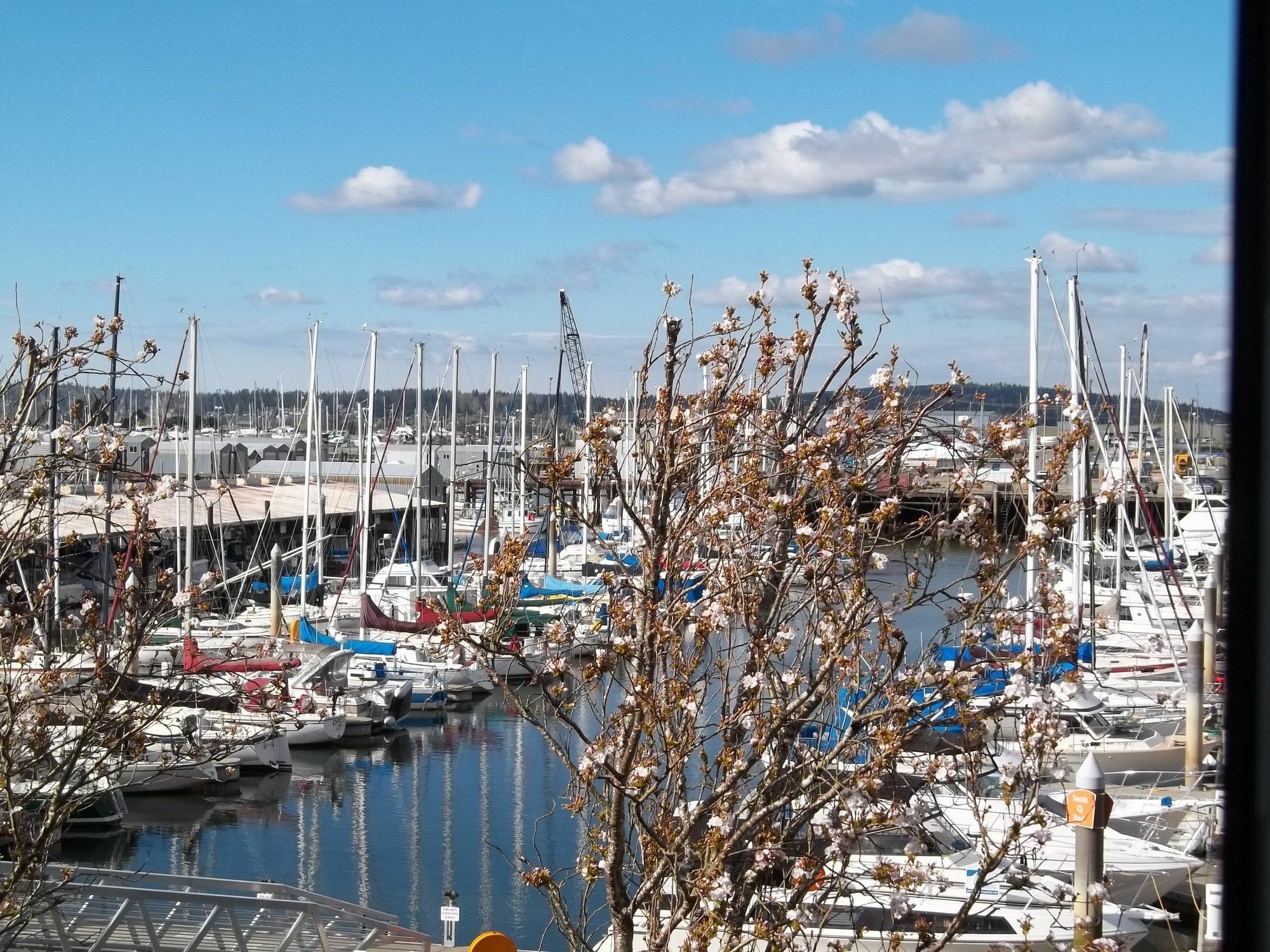 Inn At Port Gardner-Everett Waterfront, Ascend Hotel Collection Экстерьер фото